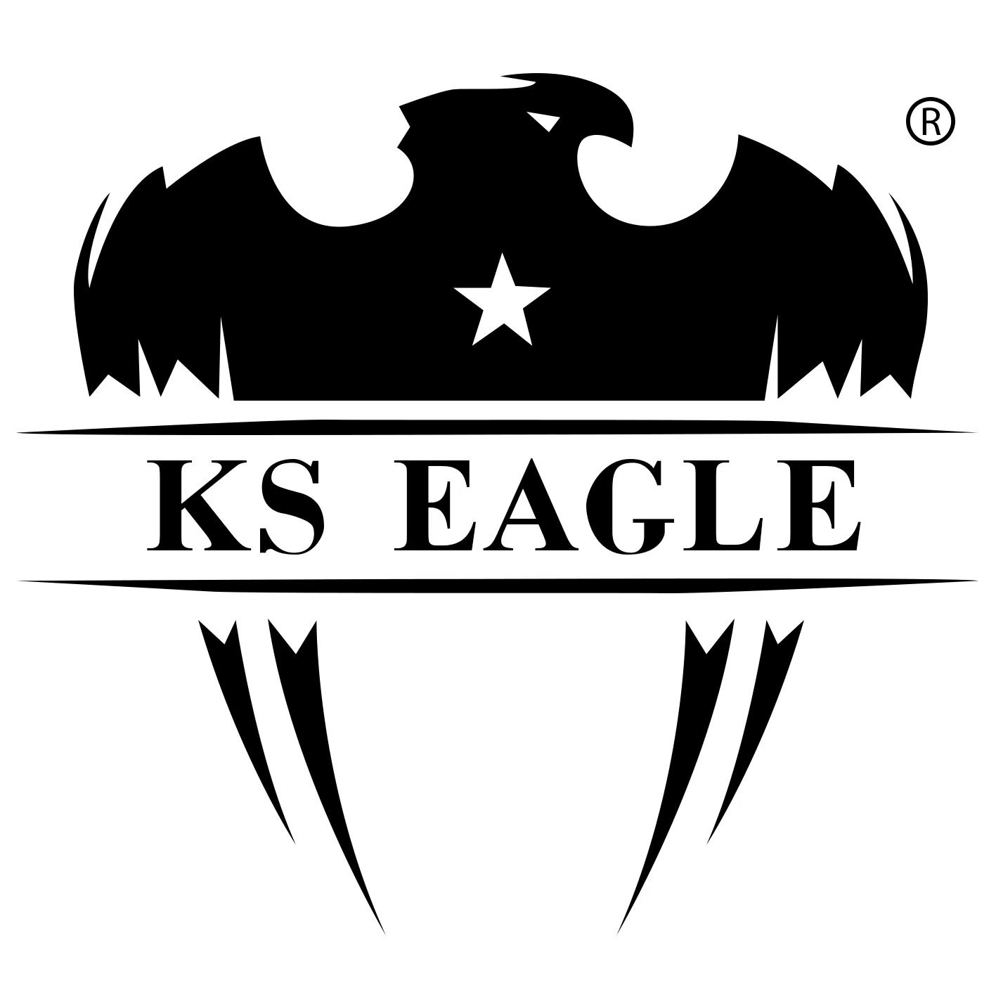 wuhanks-eagle.com