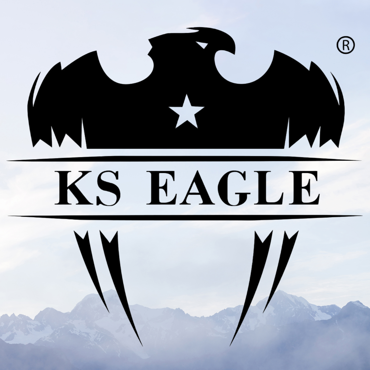 wuhanks-eagle.com